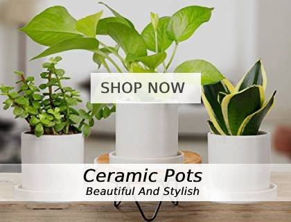 ceramic-pots