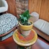 Aswani big size v shape pot 6 inch - Image 2