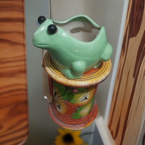 Frog Ceramic Pot 8 inch