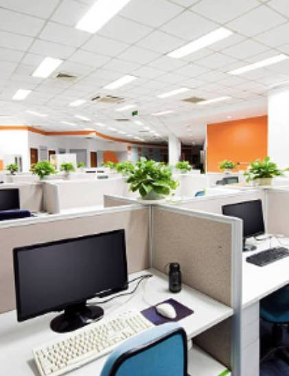 plant-on-rent3